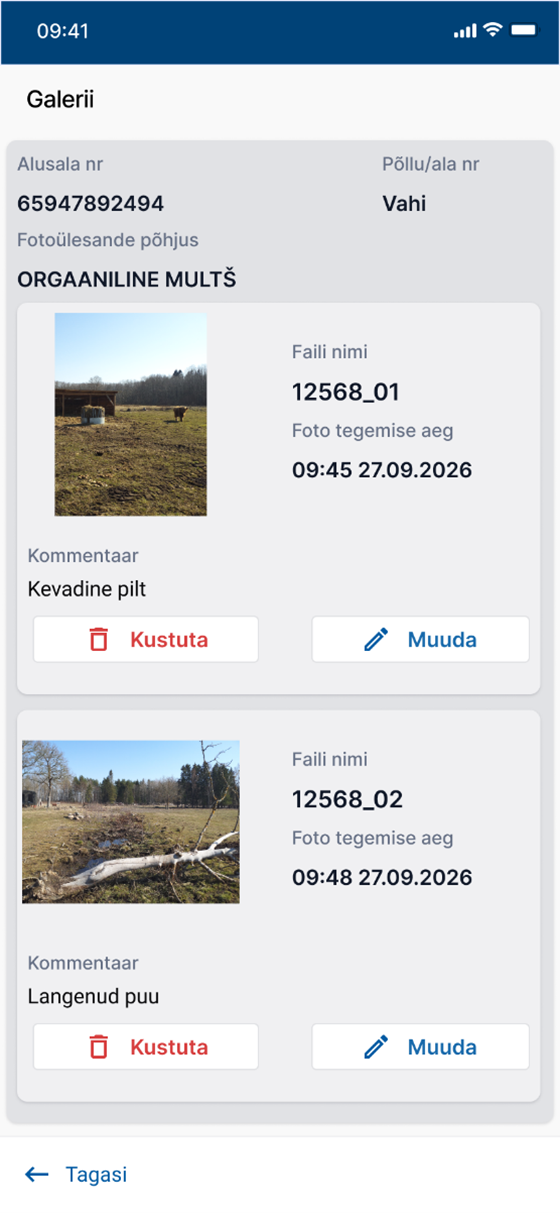 Mobiiliäpp Iva - fotode vaatamine galeriis