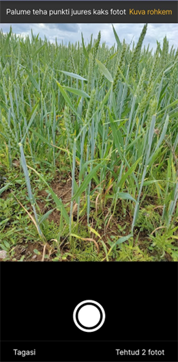 Mobiiliäpp Iva - tee mitu fotot