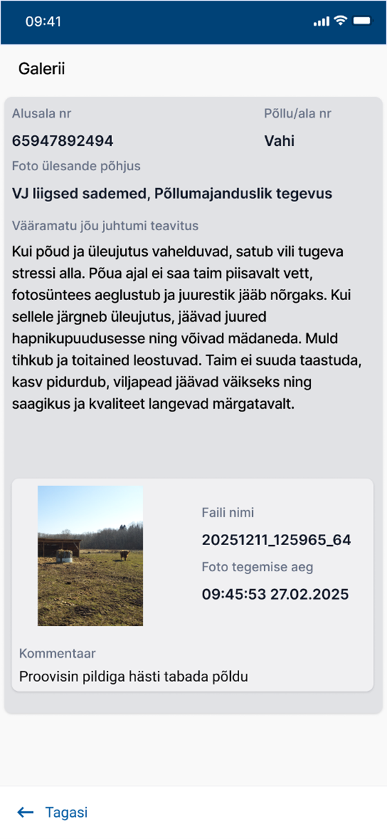 Mobiiliäpp Iva - vääramatu jõu juhtumi erisus